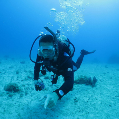 Dr Bevis Watts is diving.